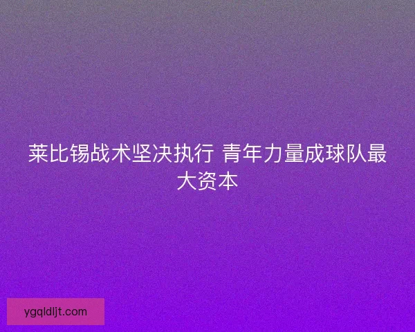 莱比锡战术坚决执行 青年力量成球队最大资本